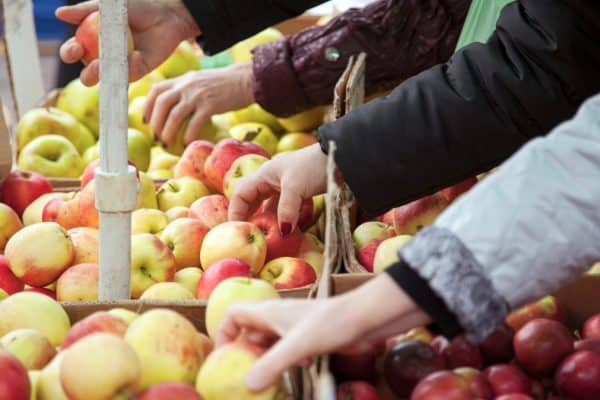 Cele mai bune mere din lume provin din Polonia. Căutați-le când faceți cumpărături