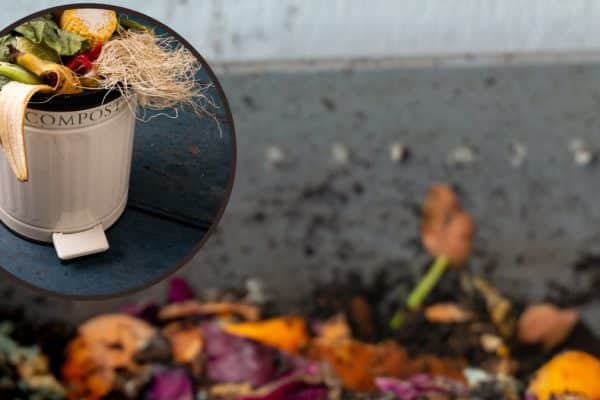 Nu trebuie să ai o grădină pentru a composta deșeurile. Puteți plasa acest composter în bucătărie