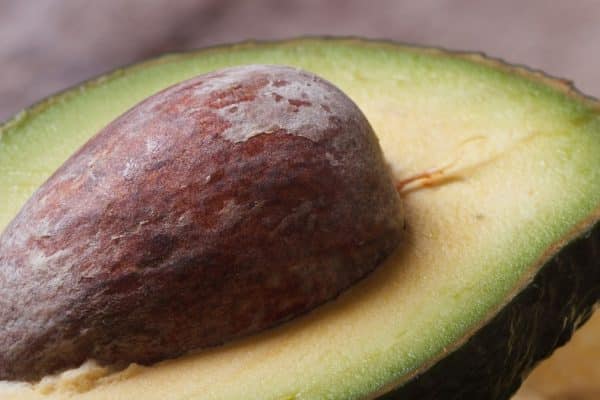 Ce să faci când avocado este tare? Un truc simplu și va fi ca untul în cel mai scurt timp