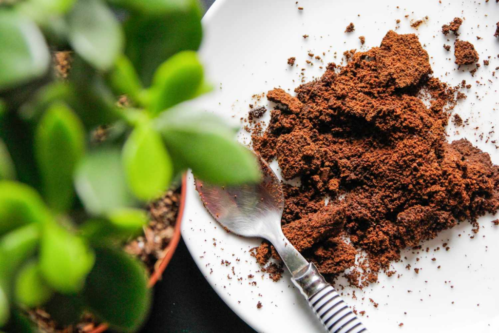 Coffee grounds to the rescue. Discover other ways to combat grease