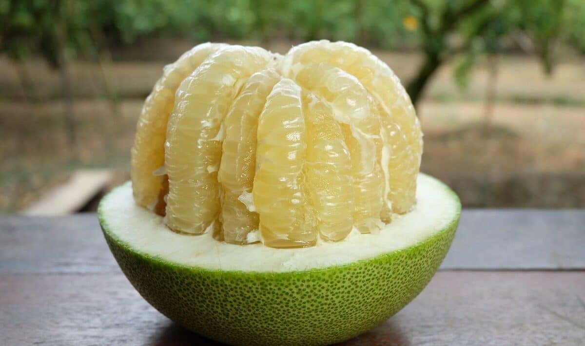 Pomelo