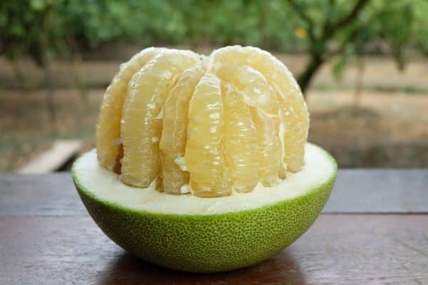 Pomelo