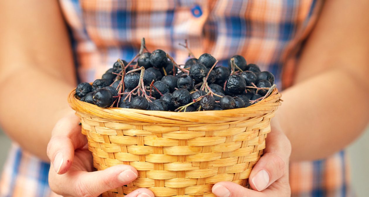 Are o mulțime de vitamine și fibre, plus că protejează ochii. Polonezii aleg rar acest fruct