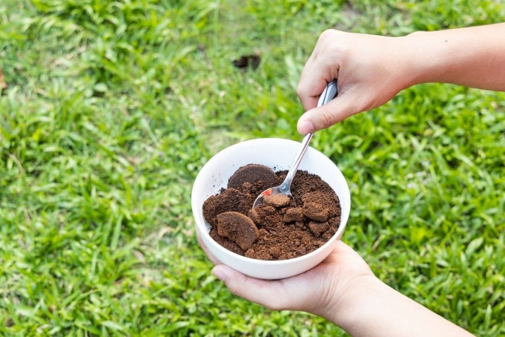 Bagnare il tuo prato a marzo. L'erba sarà succosa e verde durante tutto l'anno. Una miscela fatta in casa che fertilizzerà il tuo prato e rifiuterà i tuoi parassiti