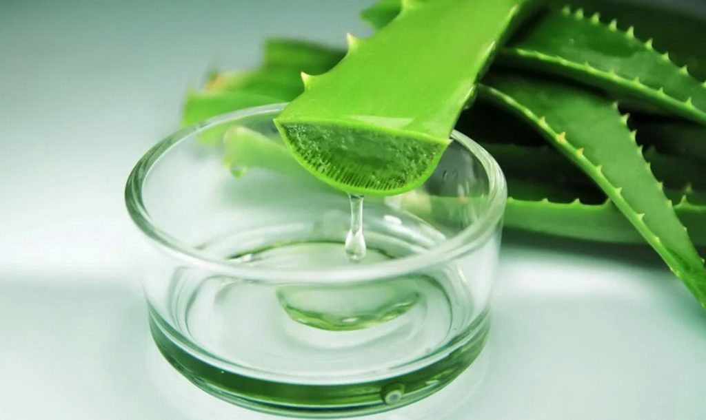 Aceasta este o plantă aloe vera care absoarbe umiditatea din baie și este foarte ușor de îngrijit.