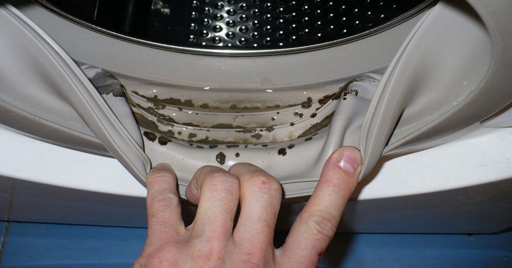 Voi dezvălui secretul modului de a scăpa rapid de apa stagnată din garnitura de cauciuc a masina de spalat