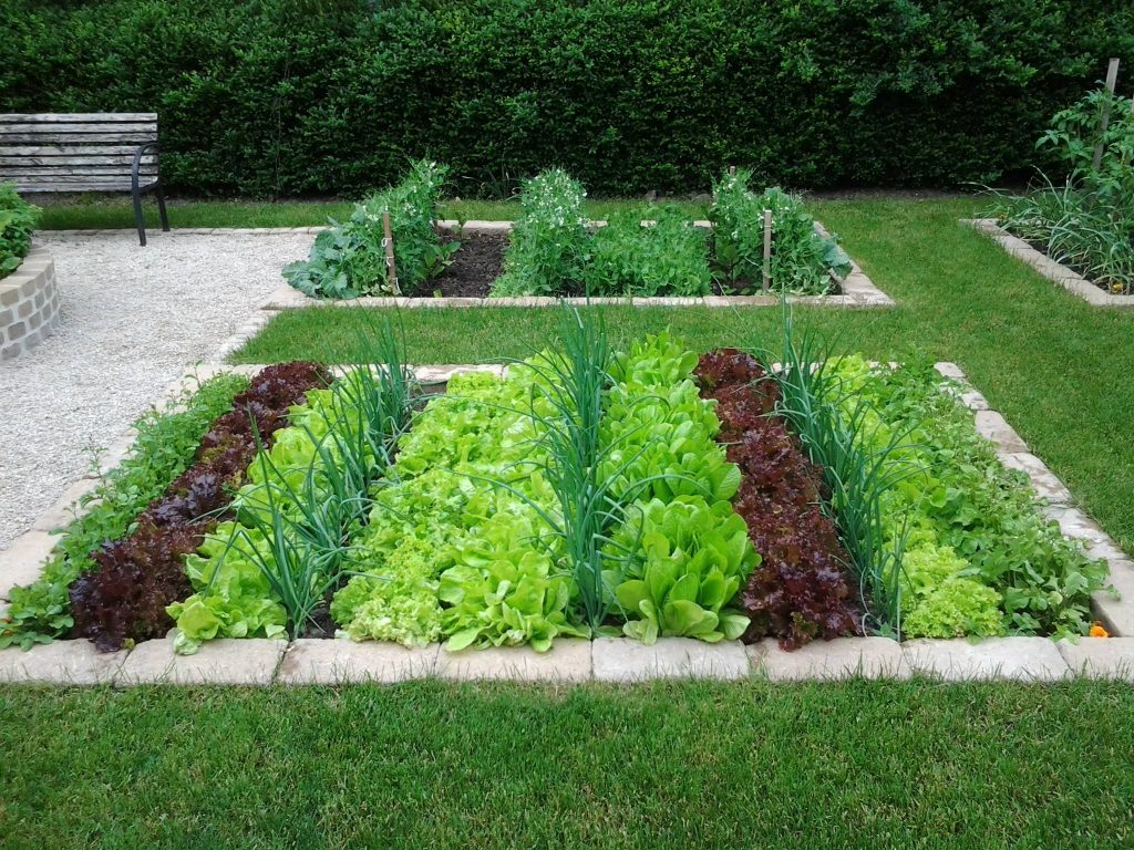 Usando la calce di magnesio nel giardino. Il calcio del magnesio deacidifica i terreni?