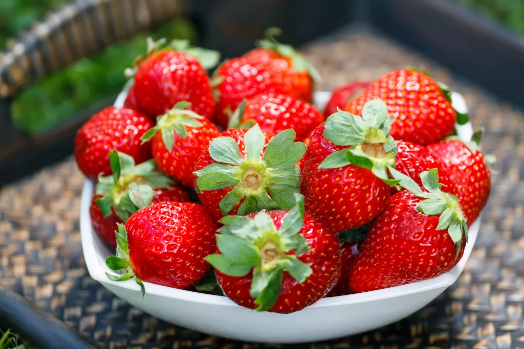 Le fragole cresceranno come erbacce. Preparare regolarmente fertilizzanti liquidi e acqua.