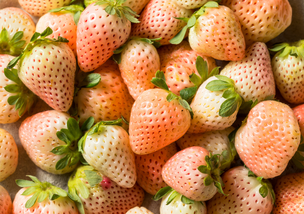 Pineberry: Boabele albe neobișnuite care a revoluționat piața agricolă