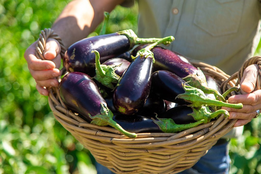 Cea mai bună rețetă de vinete la conserva care nu necesită gătit și este potrivită pentru toată lumea.