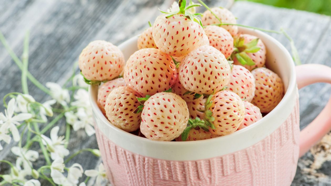 Pineberry