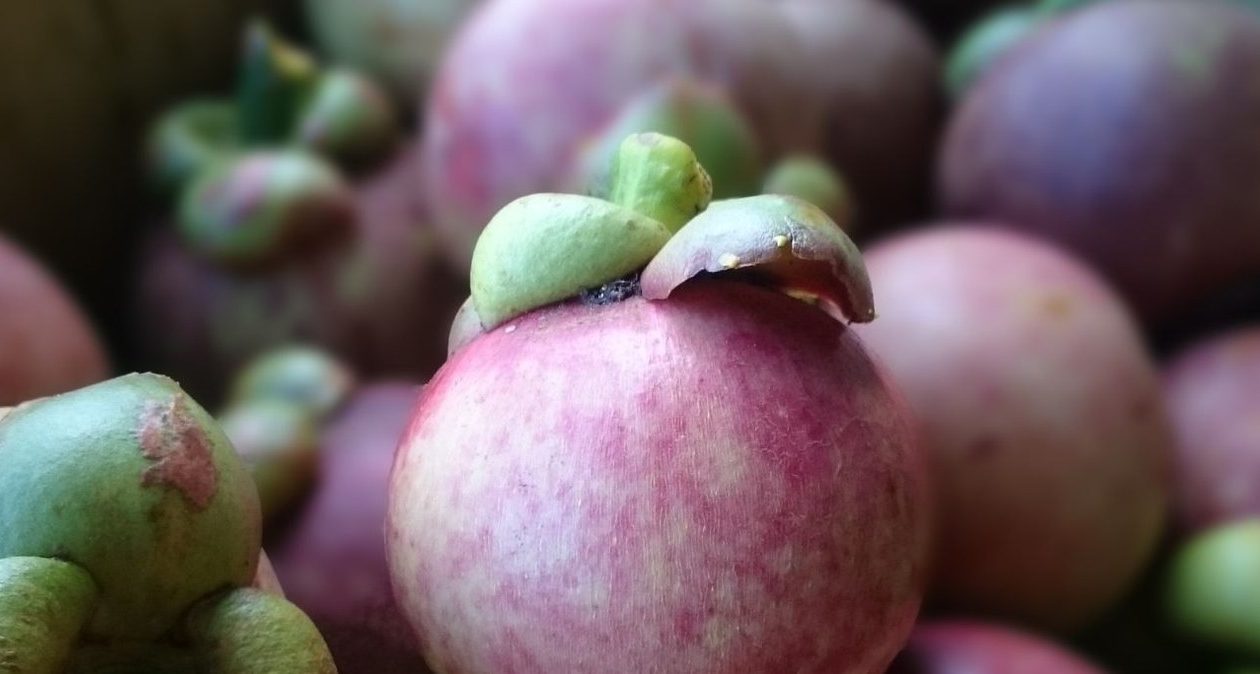 Un pic de fructe cunoscute bun pentru inimă, articulații și imunitate. Are un gust ca un amestec de căpșuni, ananas și gâscă