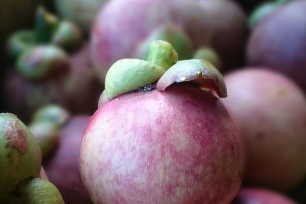 Un pic de fructe cunoscute bun pentru inimă, articulații și imunitate. Are un gust ca un amestec de căpșuni, ananas și gâscă
